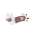 Vaca - 2