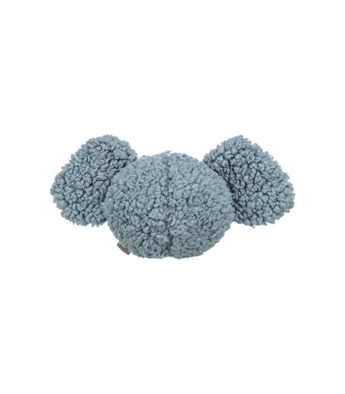 Cabeza de elefante - 1