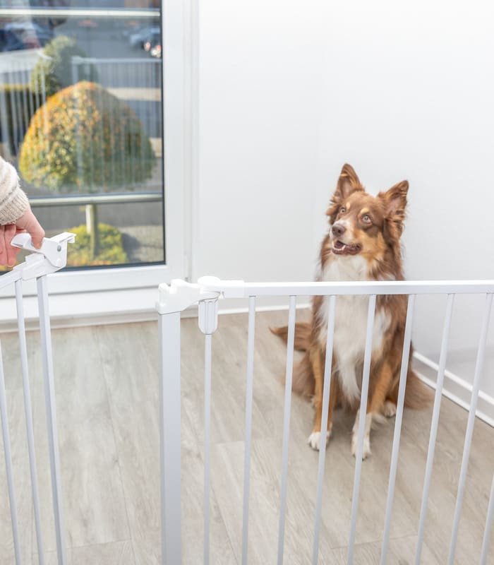 Barrera para Perros con Puerta - 3