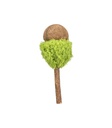 Matatabi Lolli - 2