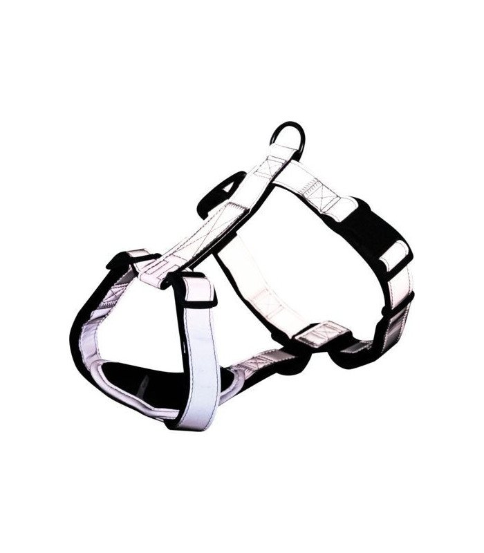 Premium Reflect Arnes - 1