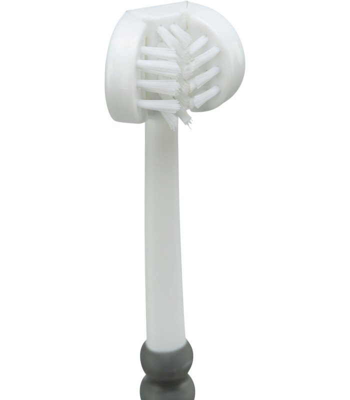 Cepillo de dientes - 2