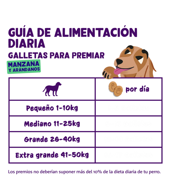 Galletas - Manzana y Arándanos - 2