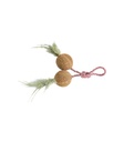 Pelotas con Cuerda - 1