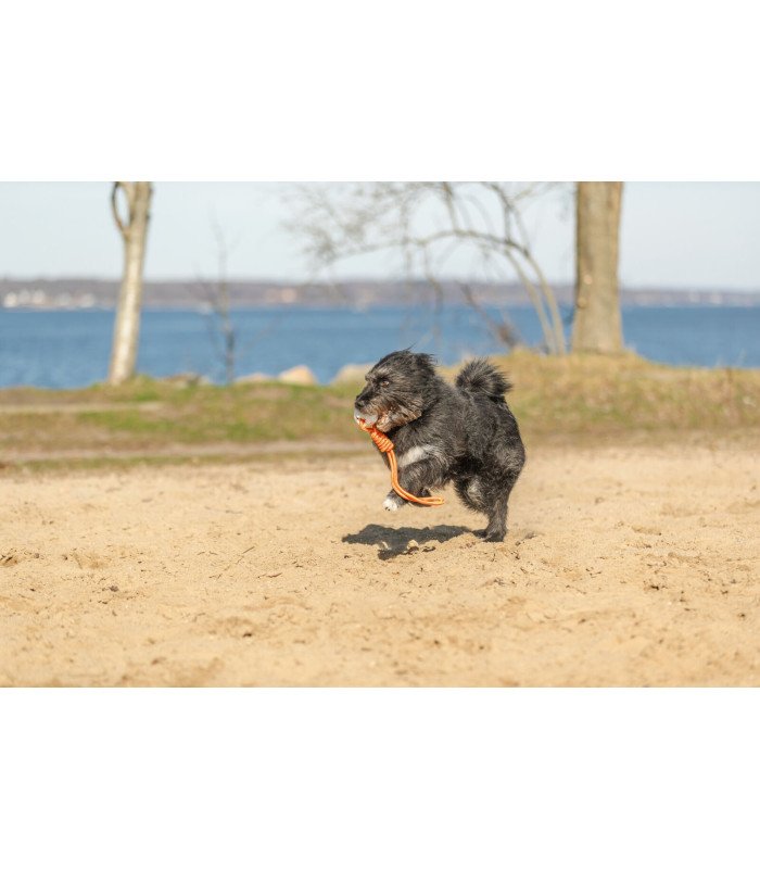 Light & Strong Pelota en Cuerda - 2