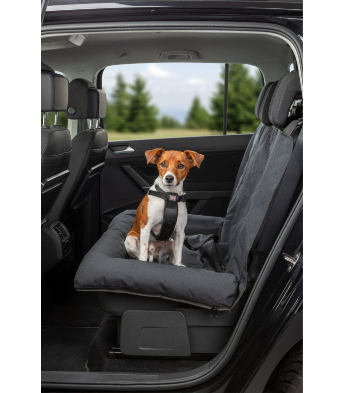 Asiento para Coches - 1
