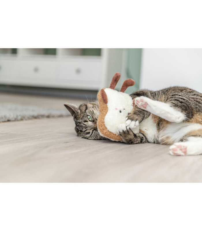 Juguete para gatos Toast XXL - 1