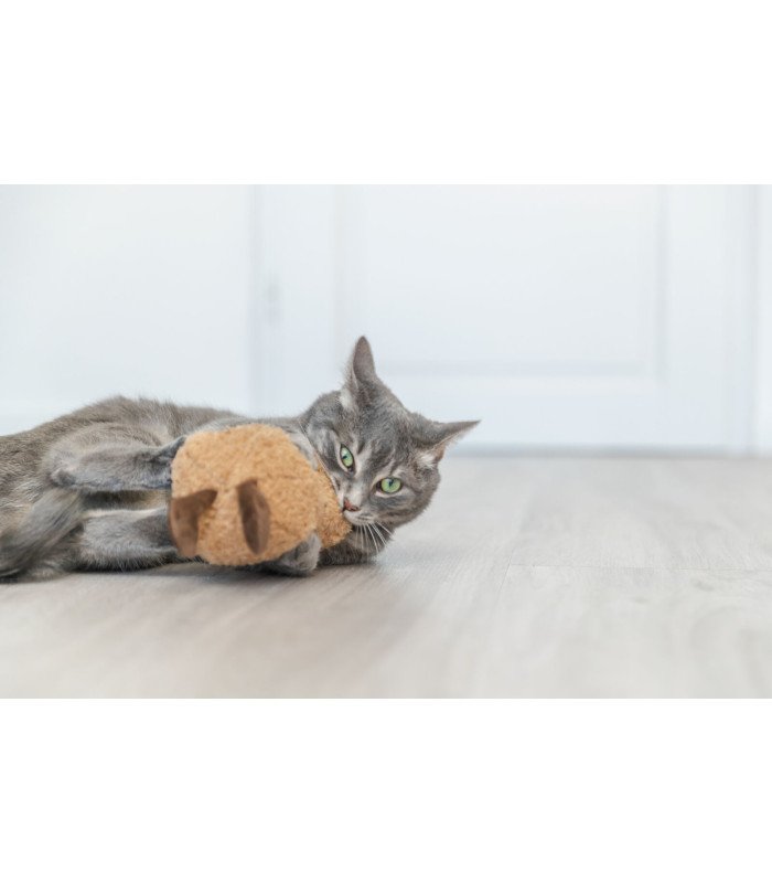 Juguete de gato cacahuete - 1