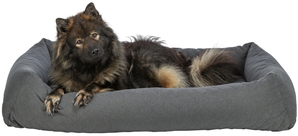 Cama Caliente gris oscuro con perro