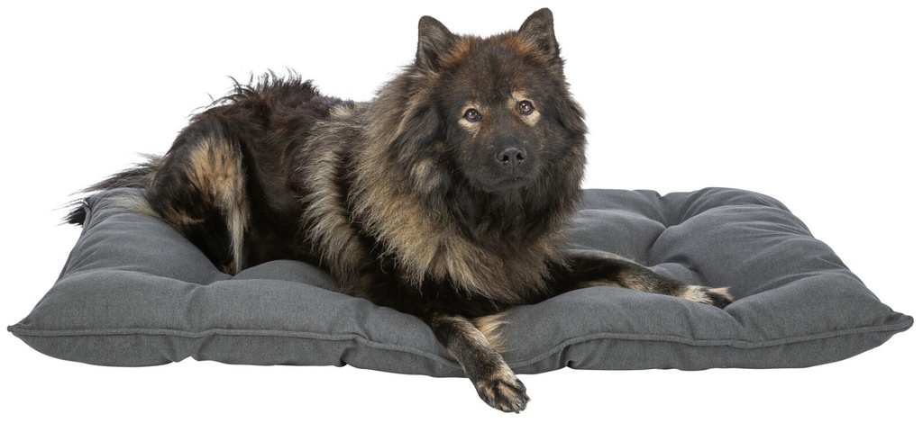 Cojín Caliente gris oscuro con perro