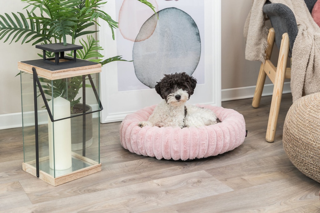 Cama Lonni rosa con perro