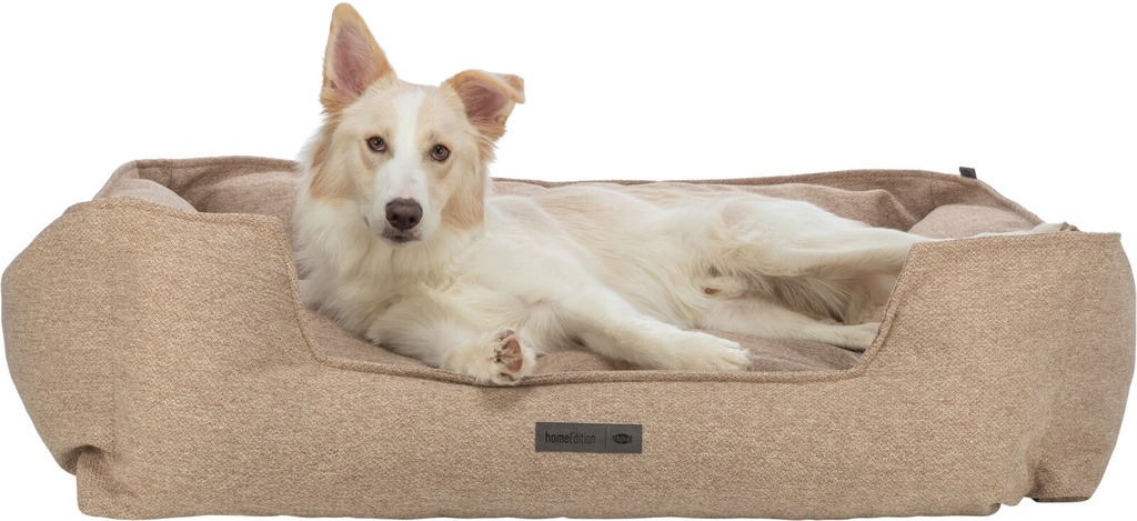 Cama Vital Liano arena con perro