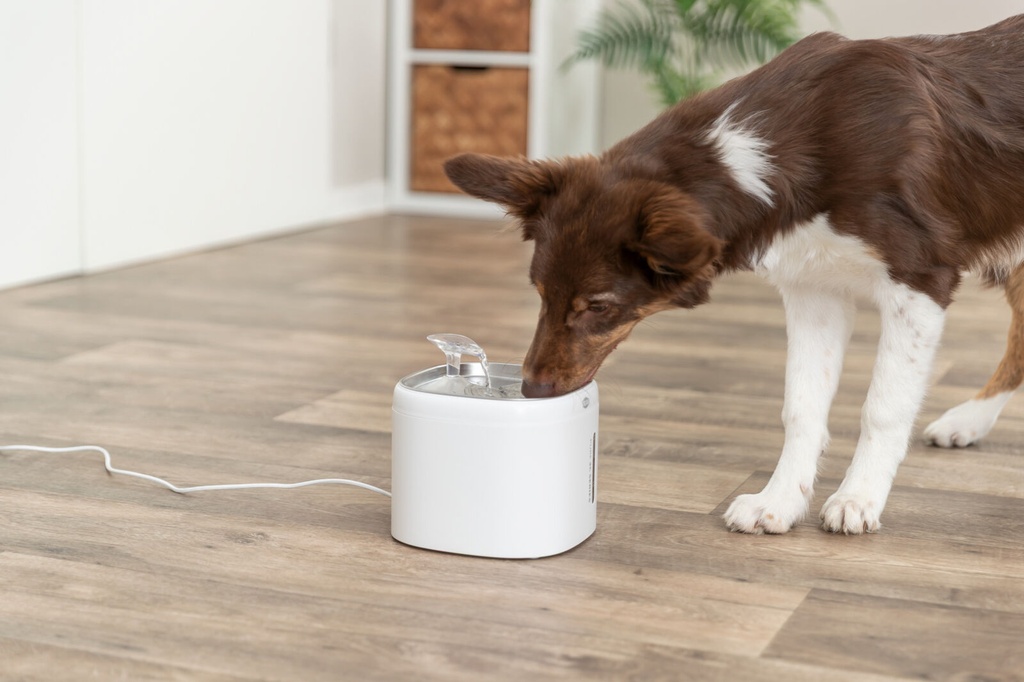 Fuente Aqua Pure blanco con perro 7