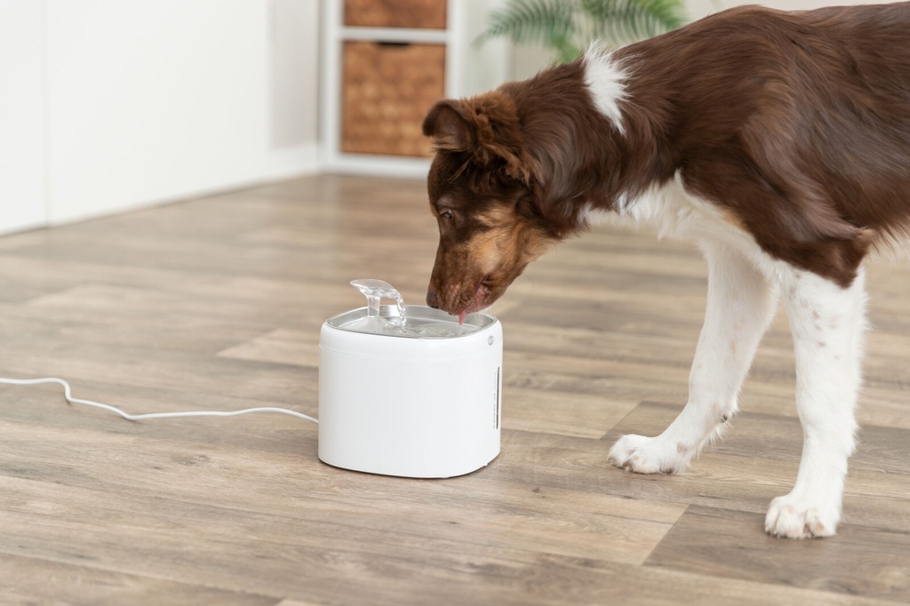 Fuente Aqua Pure blanco con perro 8