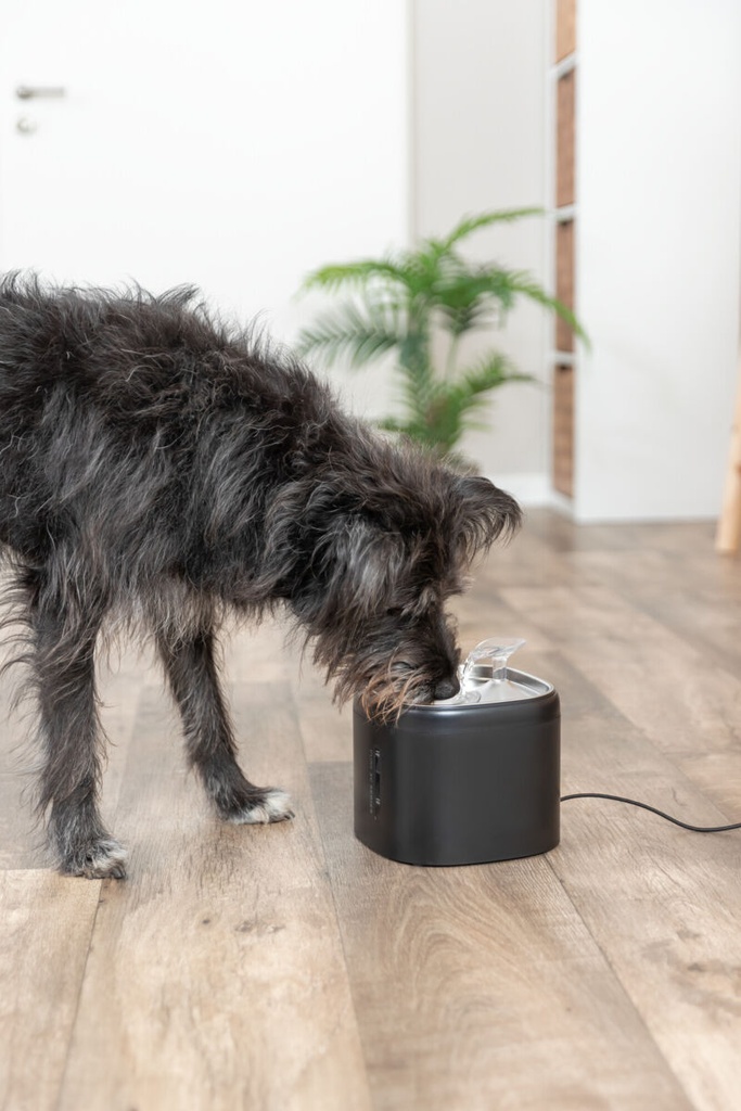 Fuente Aqua Pure negro con perro 7