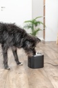 Fuente Aqua Pure negro con perro 7