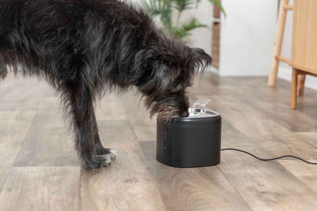 Fuente Aqua Pure negro con perro 8
