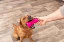 Soft & Strong Bone 9 cm rosa con perro