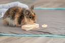Caja de Snacks 4