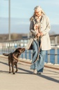 Correa para perro «Pure», fabricada en piel de nubuck y ajustable en tres posiciones, gris claro 6