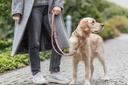 Correa para perro «Pure», fabricada en piel de nubuck y ajustable en tres posiciones, marrón 4