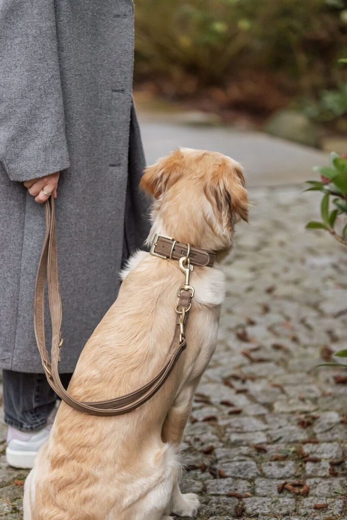 Correa para perro «Pure», fabricada en piel de nubuck y ajustable en tres posiciones, marrón 7