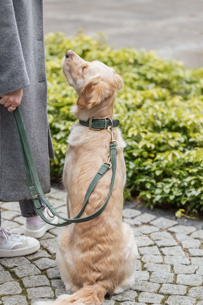 Correa para perro «Pure», fabricada en piel de nubuck y ajustable en tres posiciones, rosa 3