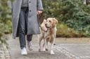 Correa para perro «Pure», fabricada en piel de nubuck y ajustable en tres posiciones, rosa 8