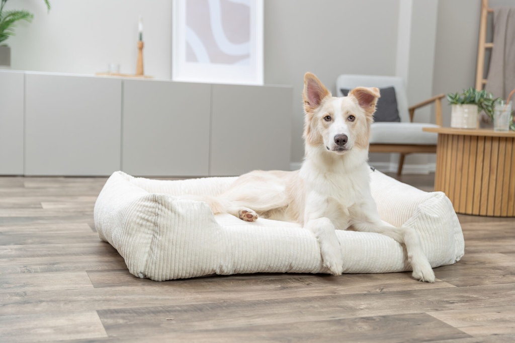 Cama Vital Jonna, crema 4