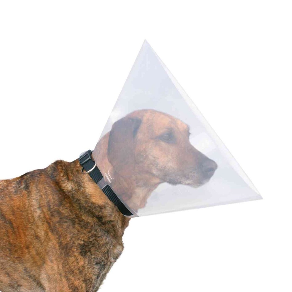 Collar Veterinario 2