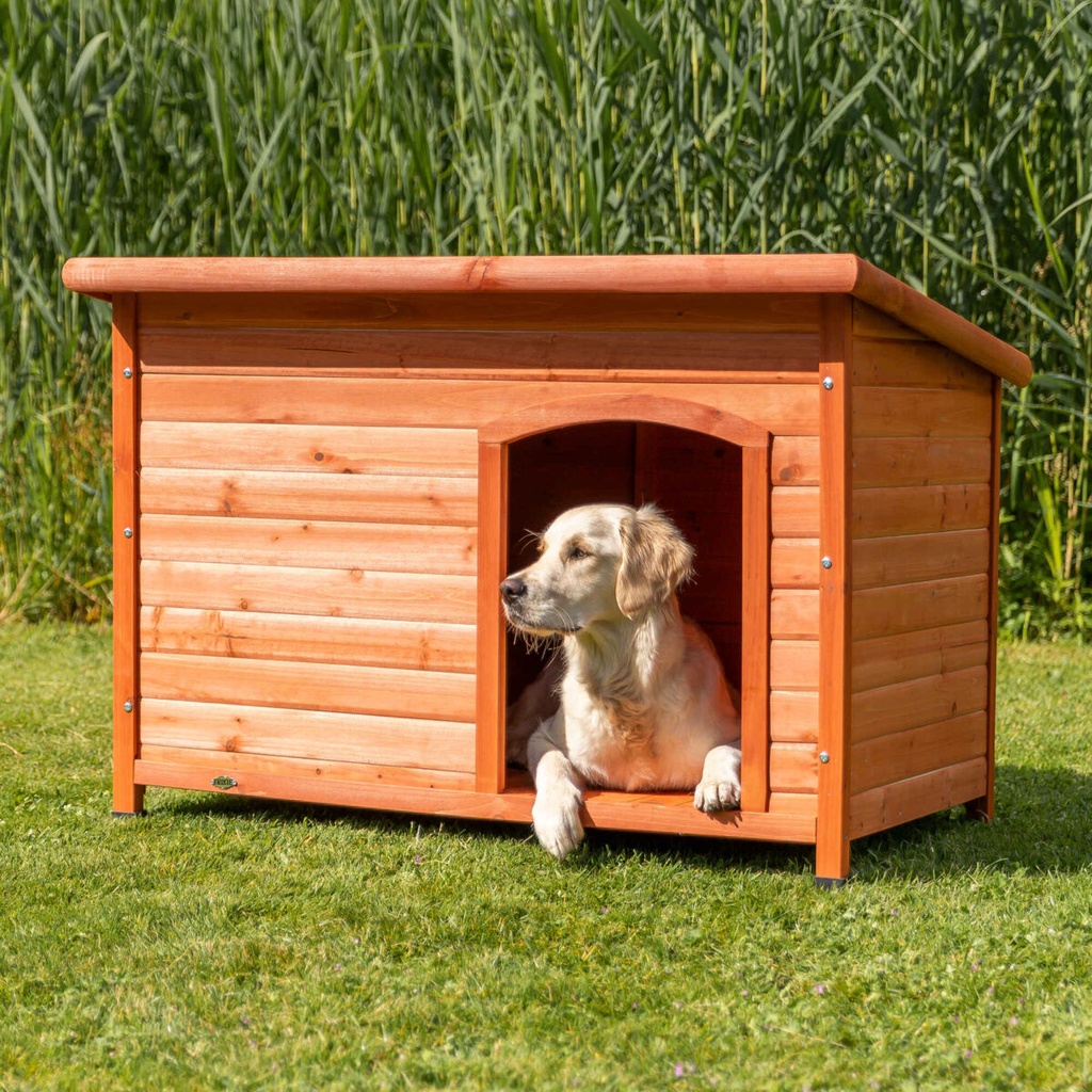 Caseta Perros Classic 8