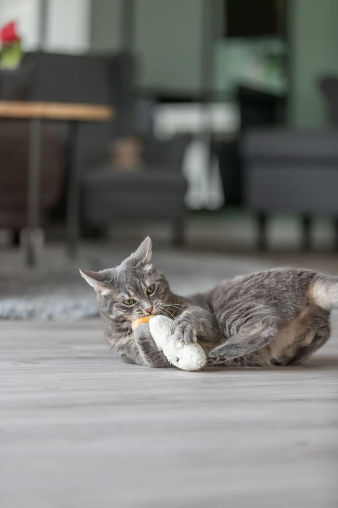 Cara dormida con catnip, 17 cm 2