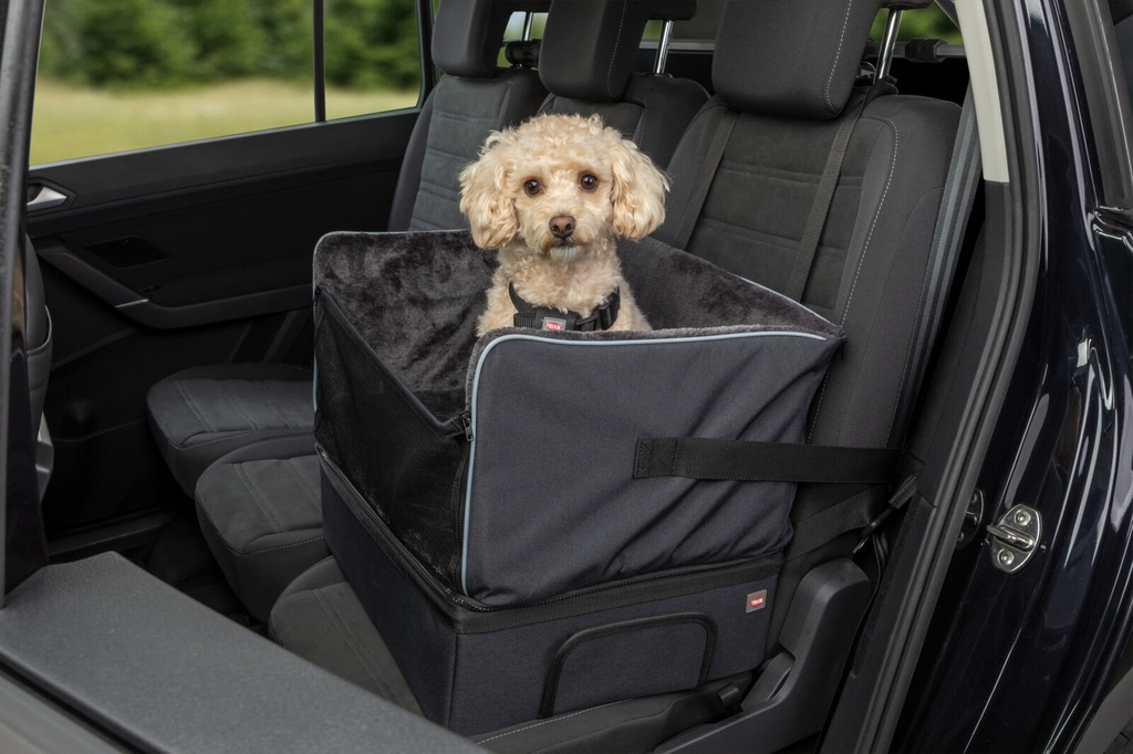 Asiento para Coche 6