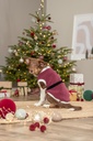 Xmas Capa Saint Nick 2