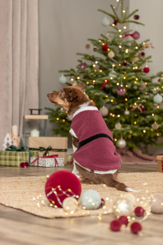 Xmas Capa Saint Nick 3