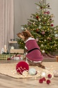 Xmas Capa Saint Nick 3
