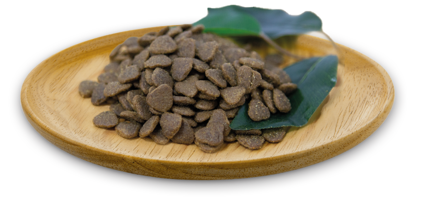 Natural Greatness Receta de Cordero 3