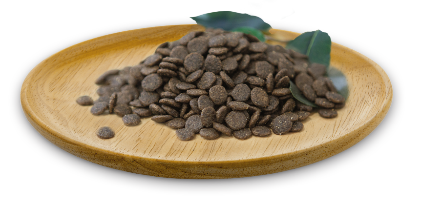 Natural Greatness Receta de Conejo Mini 3