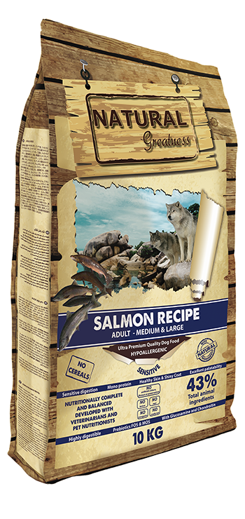 Receta de Salmón 2