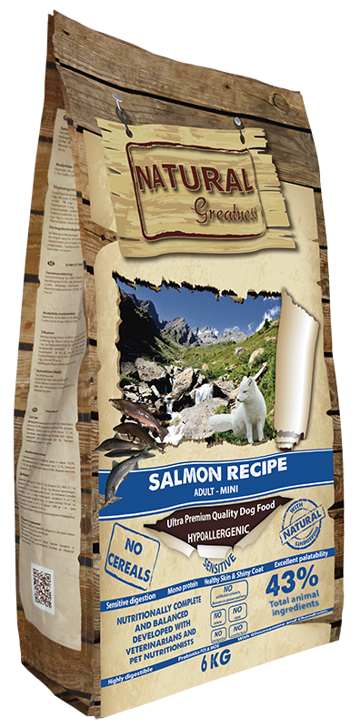 Receta de Salmón Mini 2