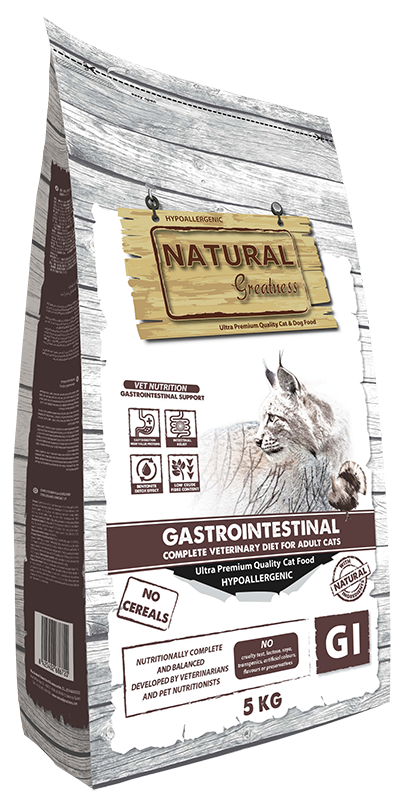Gastrointestinal gato 2
