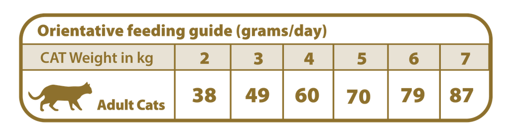 Urinary - Struvite gato 3