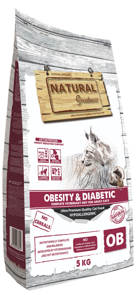 Obesity & Diabetic gato 2