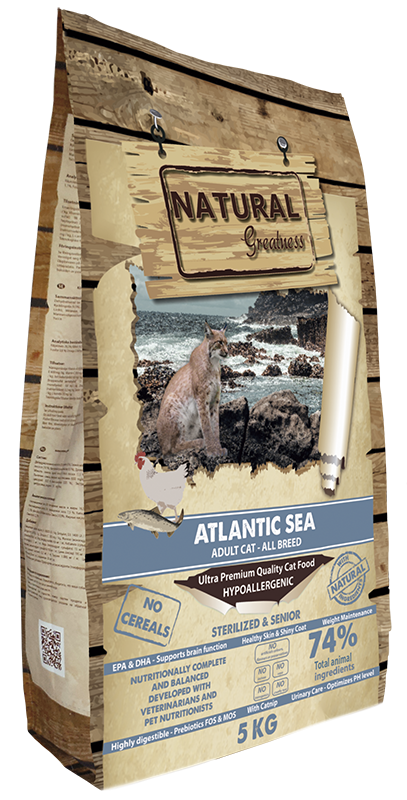 Atlantic Sea 2