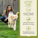 Acana Singles Grass-Fed Lamb – Cordero 4