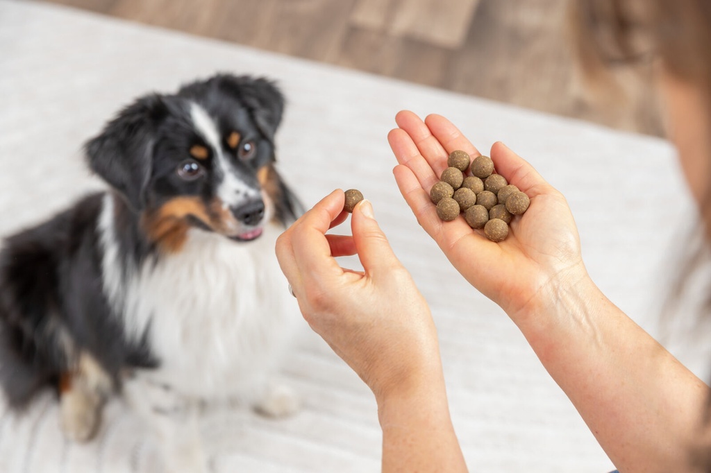 Balls con salmón 2