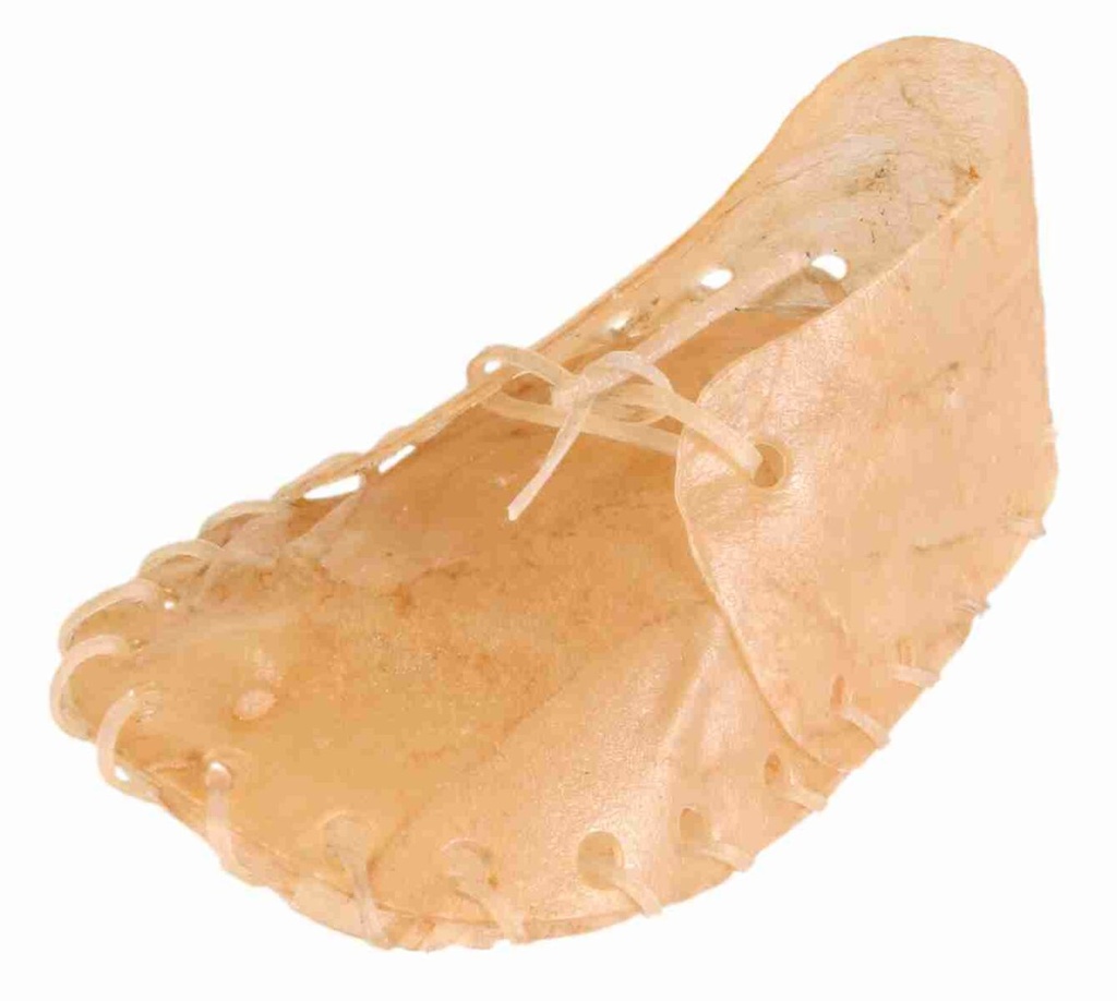 Zapato Masticable 2