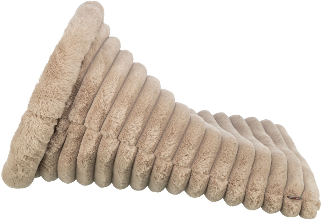 Cueva Vital Lonni 2