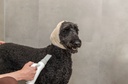 Protección para las orejas Snood 5