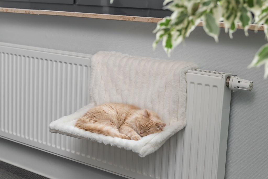 Cama Radiador Lonni 2
